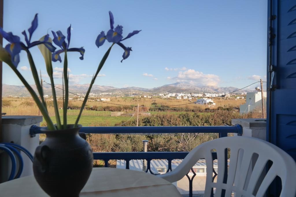 Mina'S Studios In Naxos Island Агиос-Прокопиос Экстерьер фото