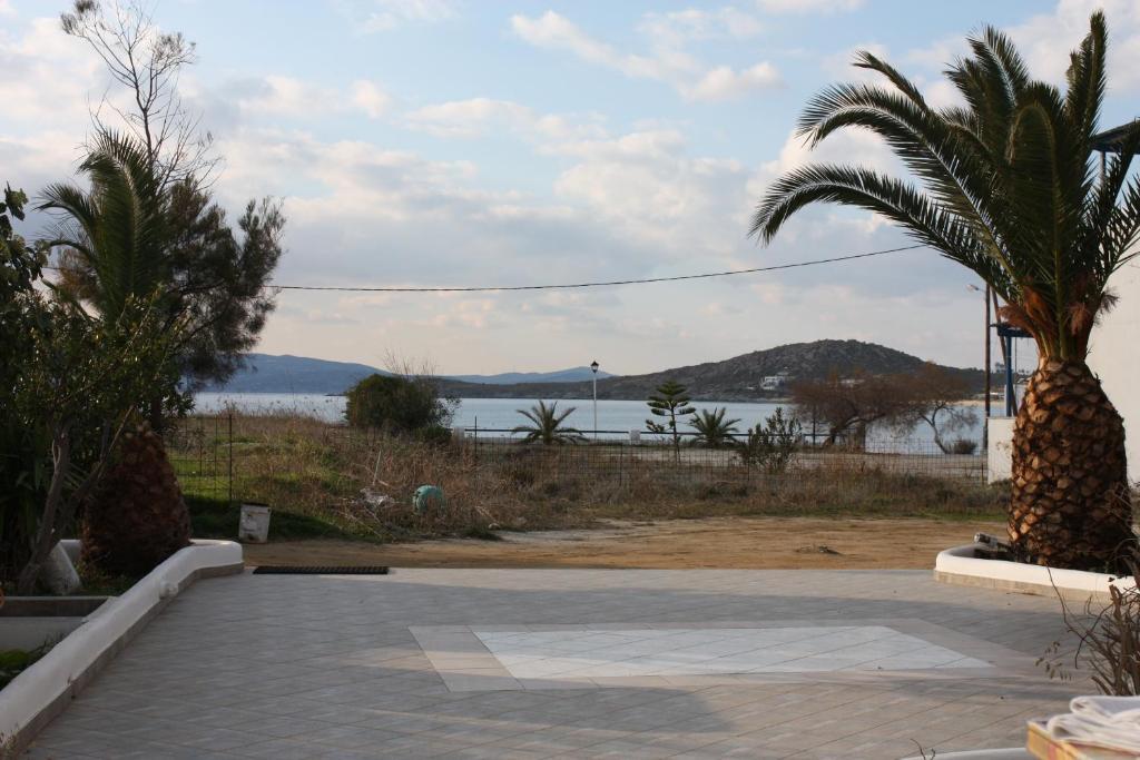 Mina'S Studios In Naxos Island Агиос-Прокопиос Экстерьер фото