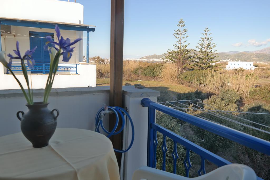 Mina'S Studios In Naxos Island Агиос-Прокопиос Номер фото